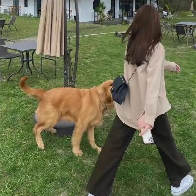 剑客与灵童粤语
